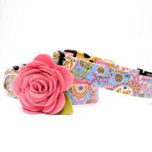 paisley dog collar with rose stevie