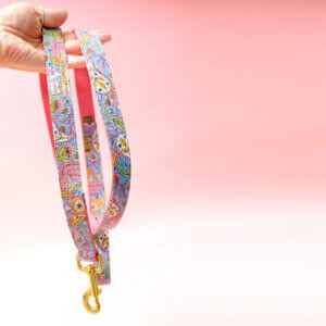paisley dog leash blue pink stevie