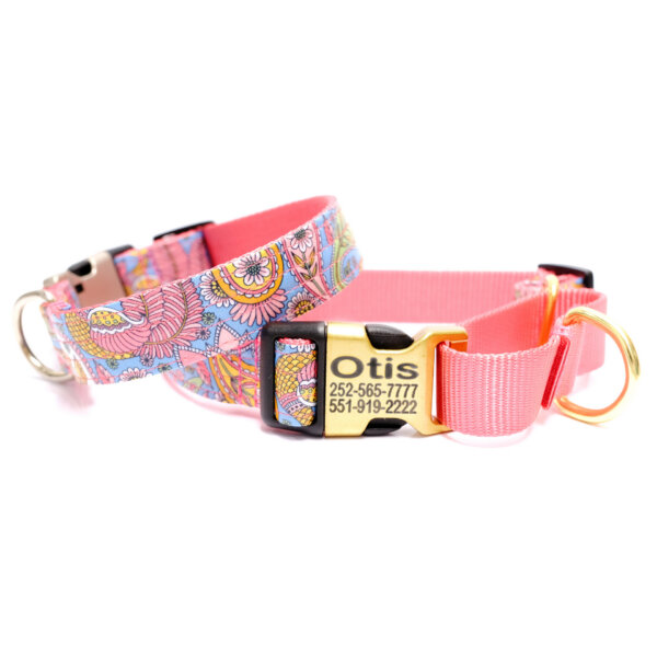 paisley martingale dog collar stevie