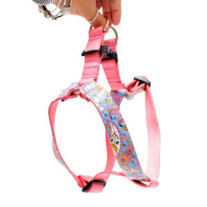 step in paisely dog harness stevie
