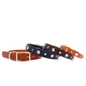 Studded leather dog collars in multiple classic colors