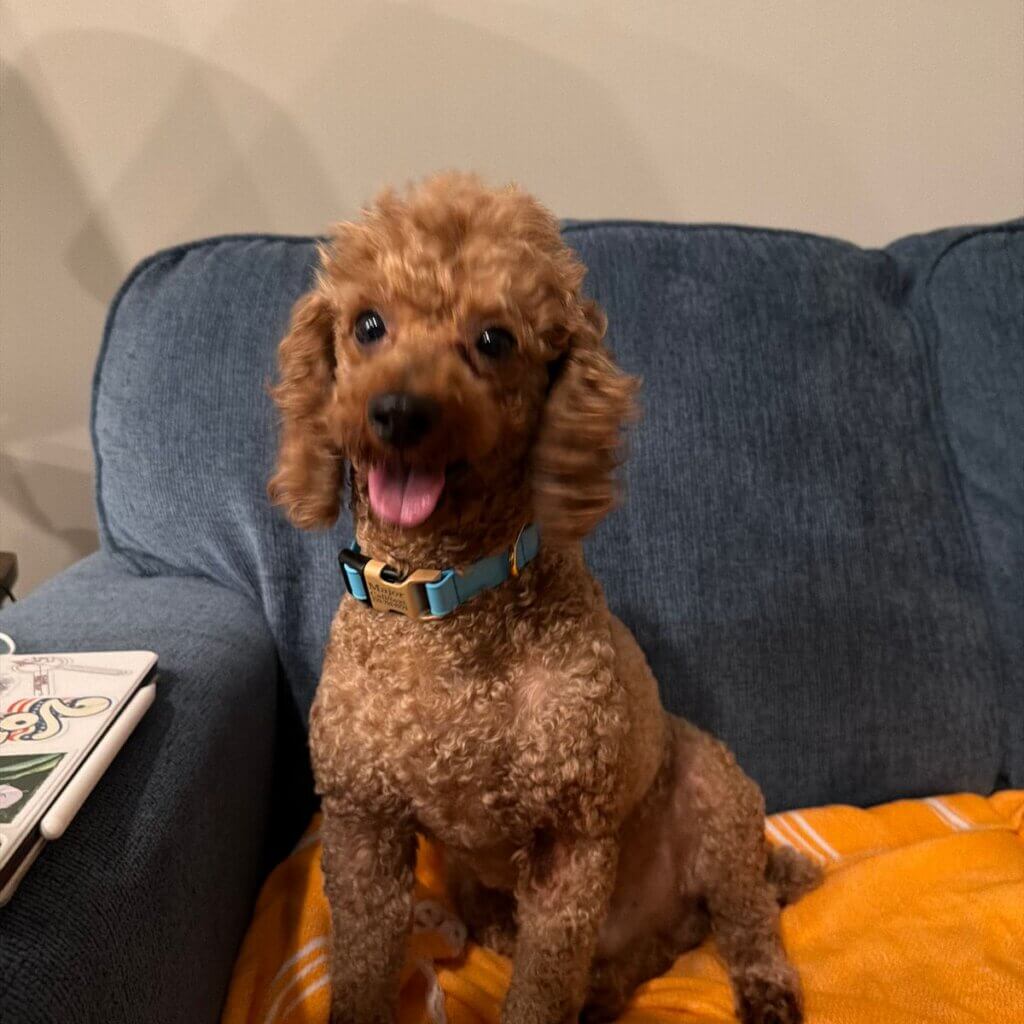Image #1 from Savannah Trussell