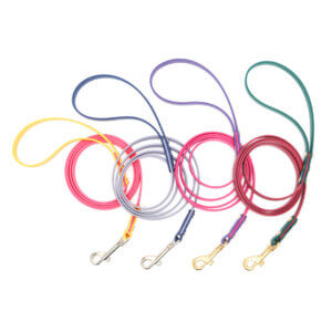 3_8 two tone waterproof leashes small dog or puppy