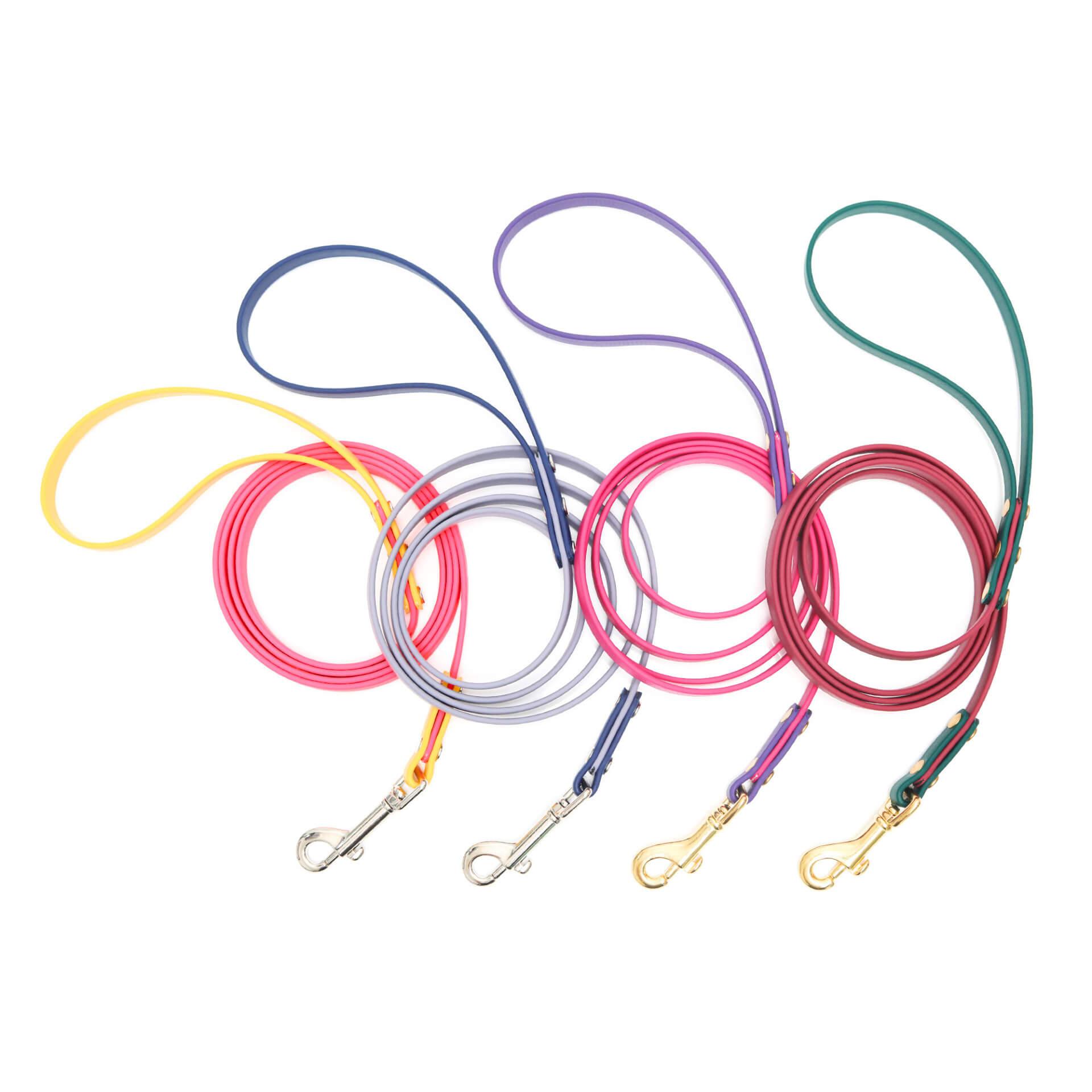 3_8 two tone waterproof leashes small dog or puppy