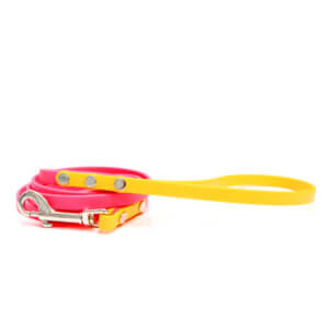 3_8 two tone waterproof leashes 2