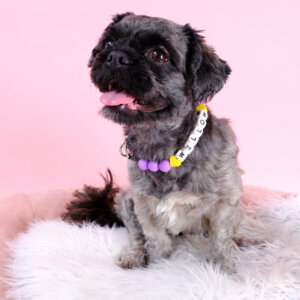 Willow in beaded collar with Name