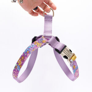 easy on harness succulent jade in purple