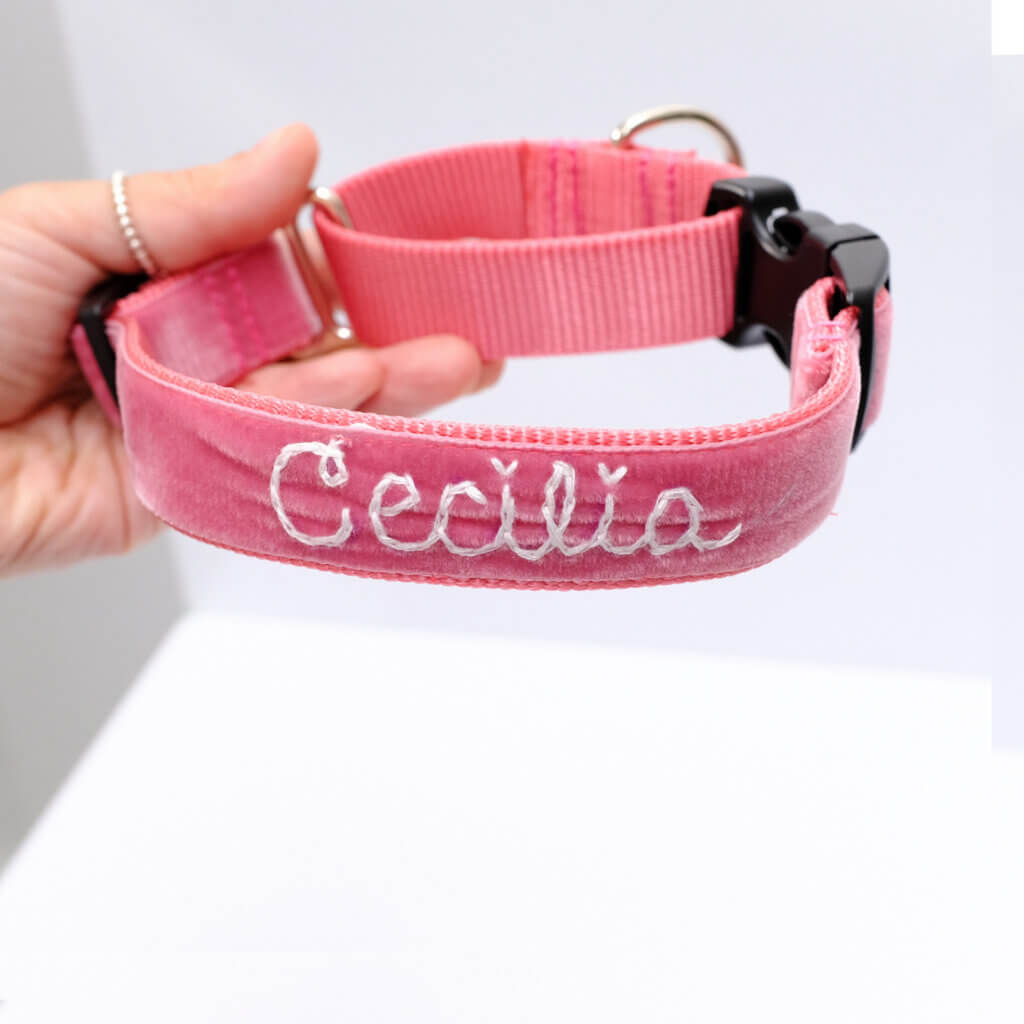 embroidered martingale dog collar pink primrose