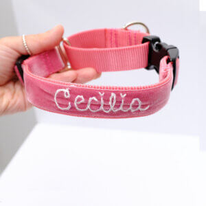 embroidered martingale dog collar pink primrose