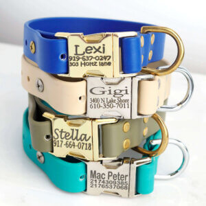 Waterproof dog collars by Mimi Green with engraved buckles
