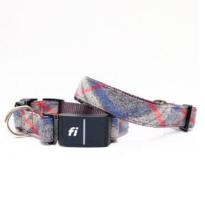 fi dog collar blue flannel pjs