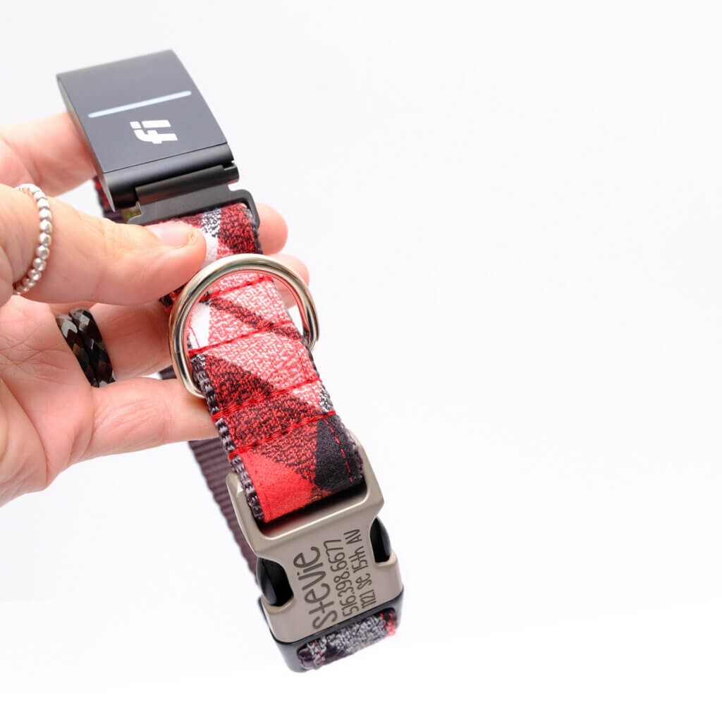 fi dog collar engraved red flannel pjs
