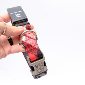 fi dog collar engraved red flannel pjs