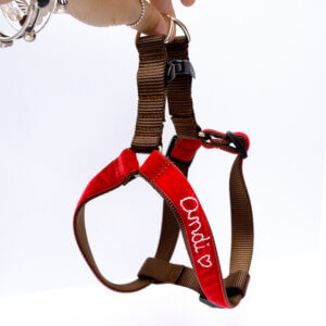 holly red velvet harness embroidered step in