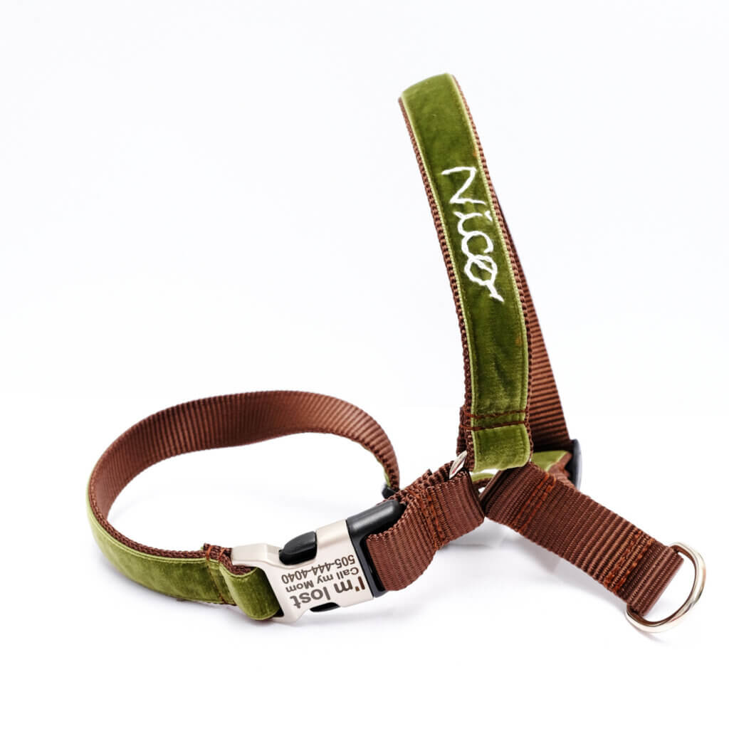 hunter Green velvet embroidered dog harness easy on