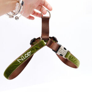hunter Green velvet hand embroidered dog harness easy on