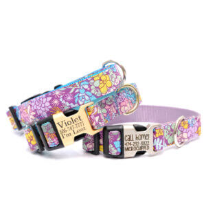 jade succulent dog collar engraved
