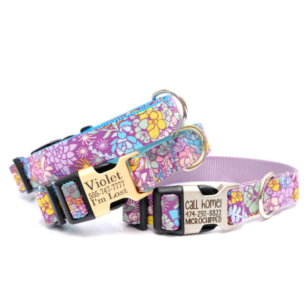 jade succulent dog collar engraved