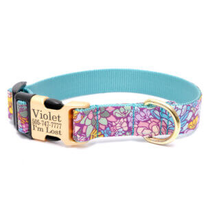 jade succulent dog collar gold buckle
