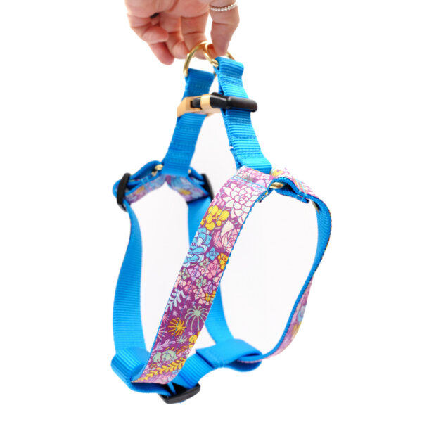 jade succulent dog harness step in