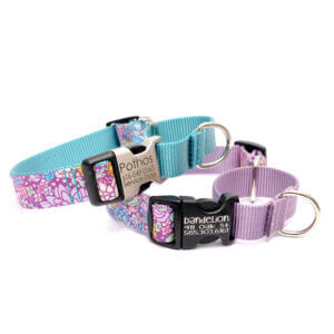 jade succulent martingale dog collar engraved