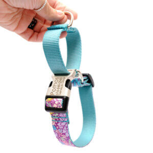 martingale dog collar jade succulent collar