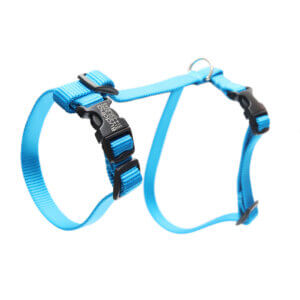 nylon cat buckle harness peacock