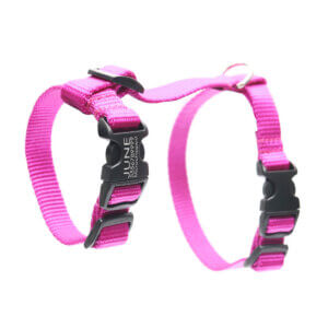 nylon cat buckle harness