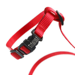 nylon cat buckle harness red