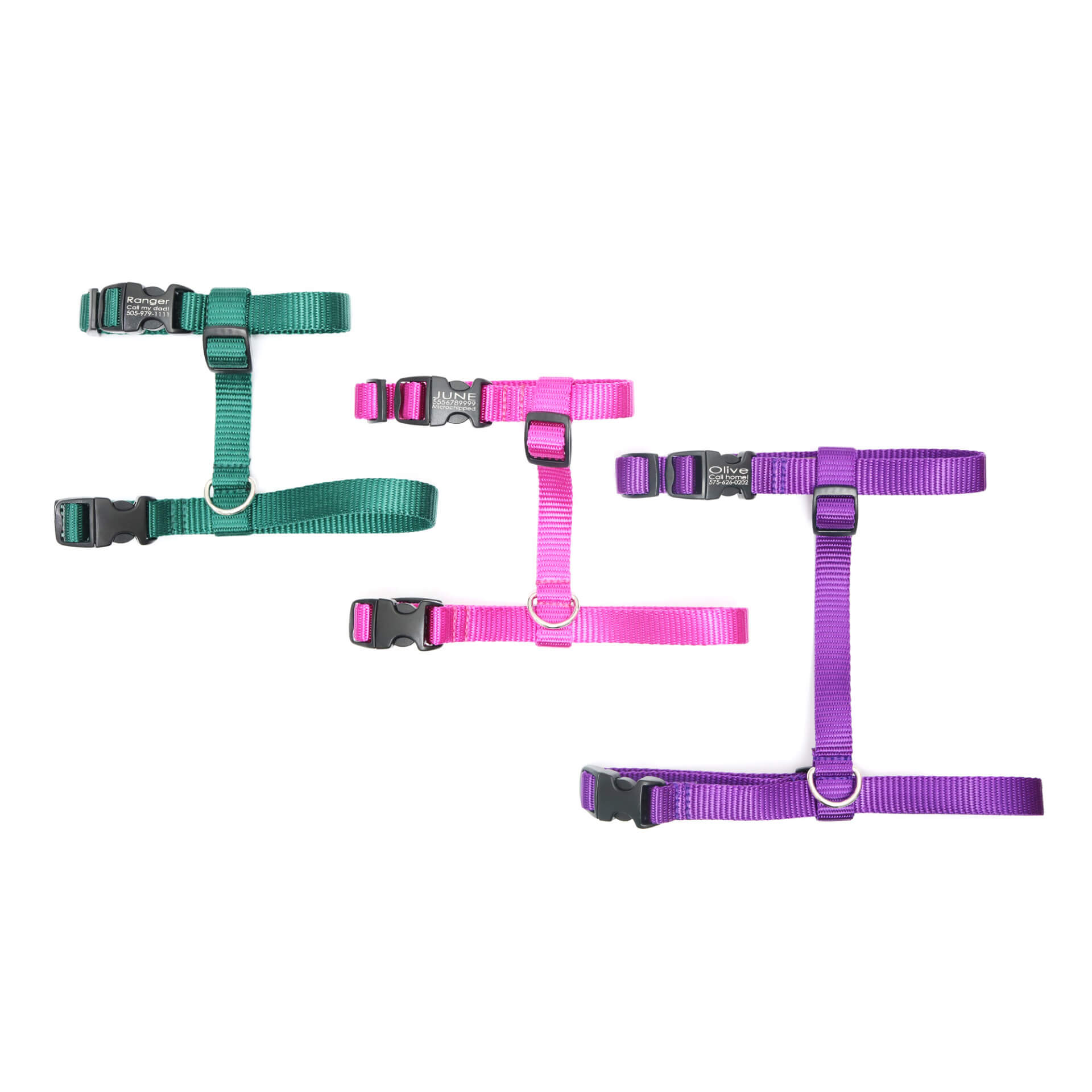nylon cat buckle harness 3 colors flat lay