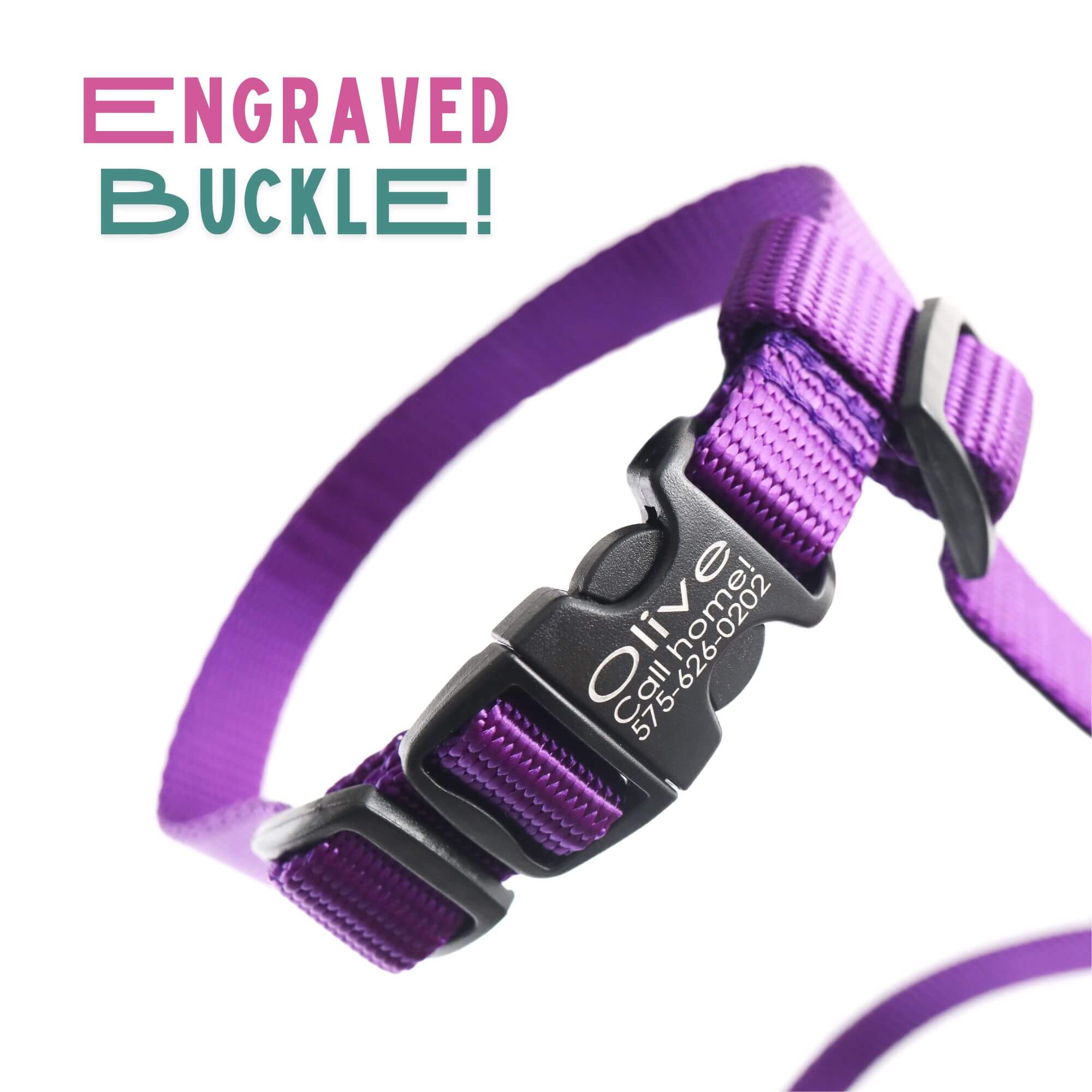 nylon cat buckle harness engraved buckle