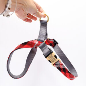 red flannel easy on dog harness engraved PJS