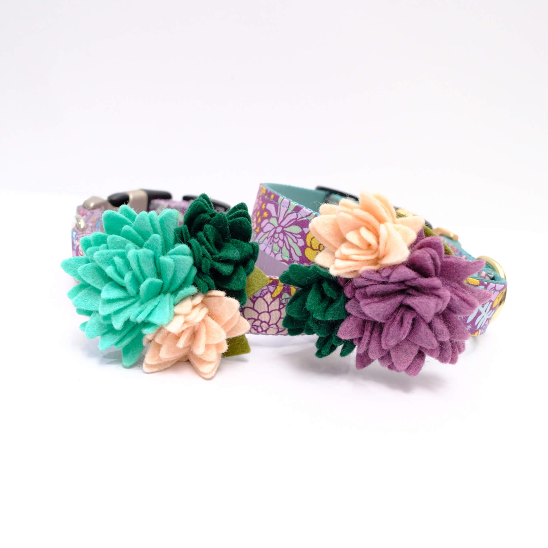 succulent for dog collar Jade