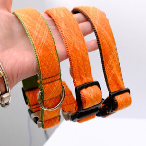 Plaid Spice Orange collars