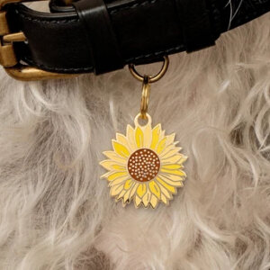 Sunflower Pet ID tag on dog
