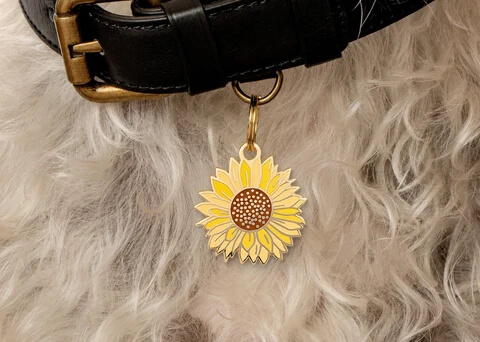 Sunflower Pet ID tag on dog