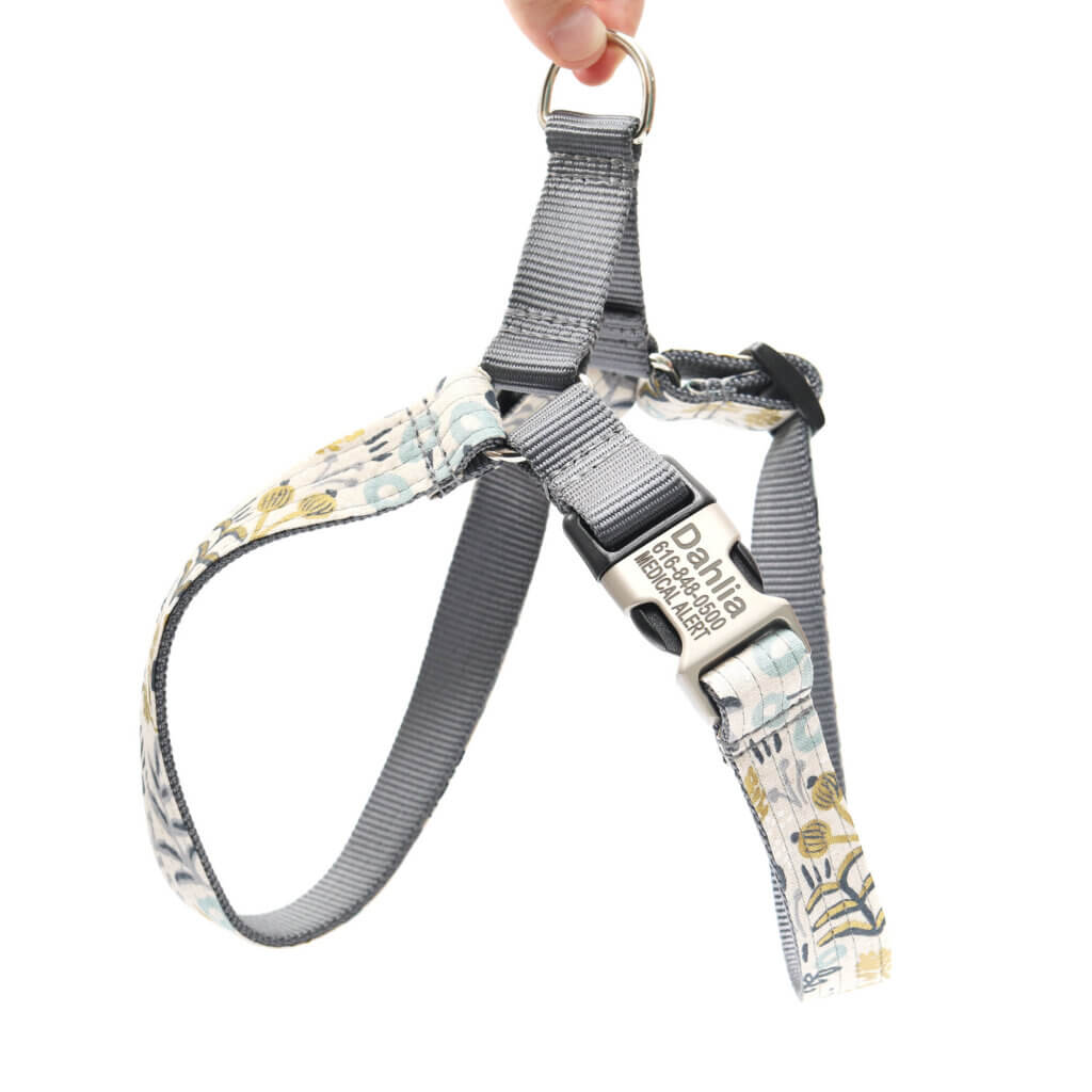 goldie canvas easy on harness