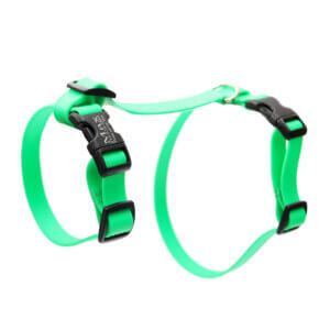 lightweight waterproof cat buckle harness green