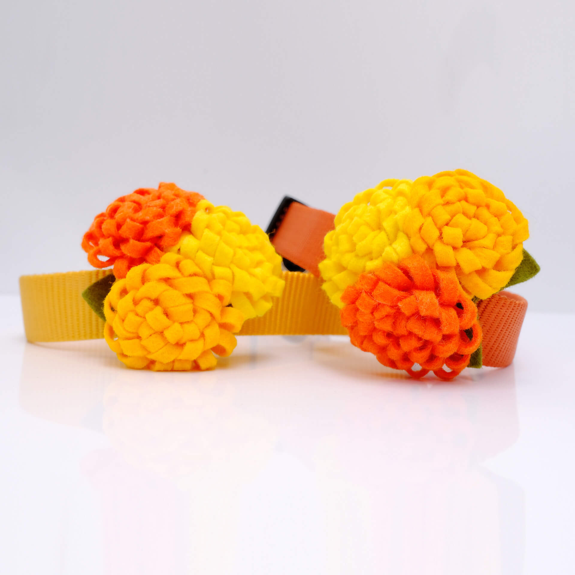 marigold dog collar flower