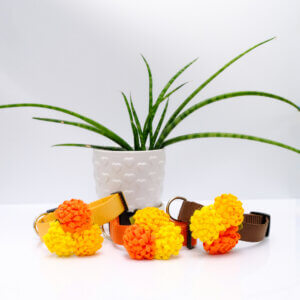 marigold flowers for dog collars dia de los muertos