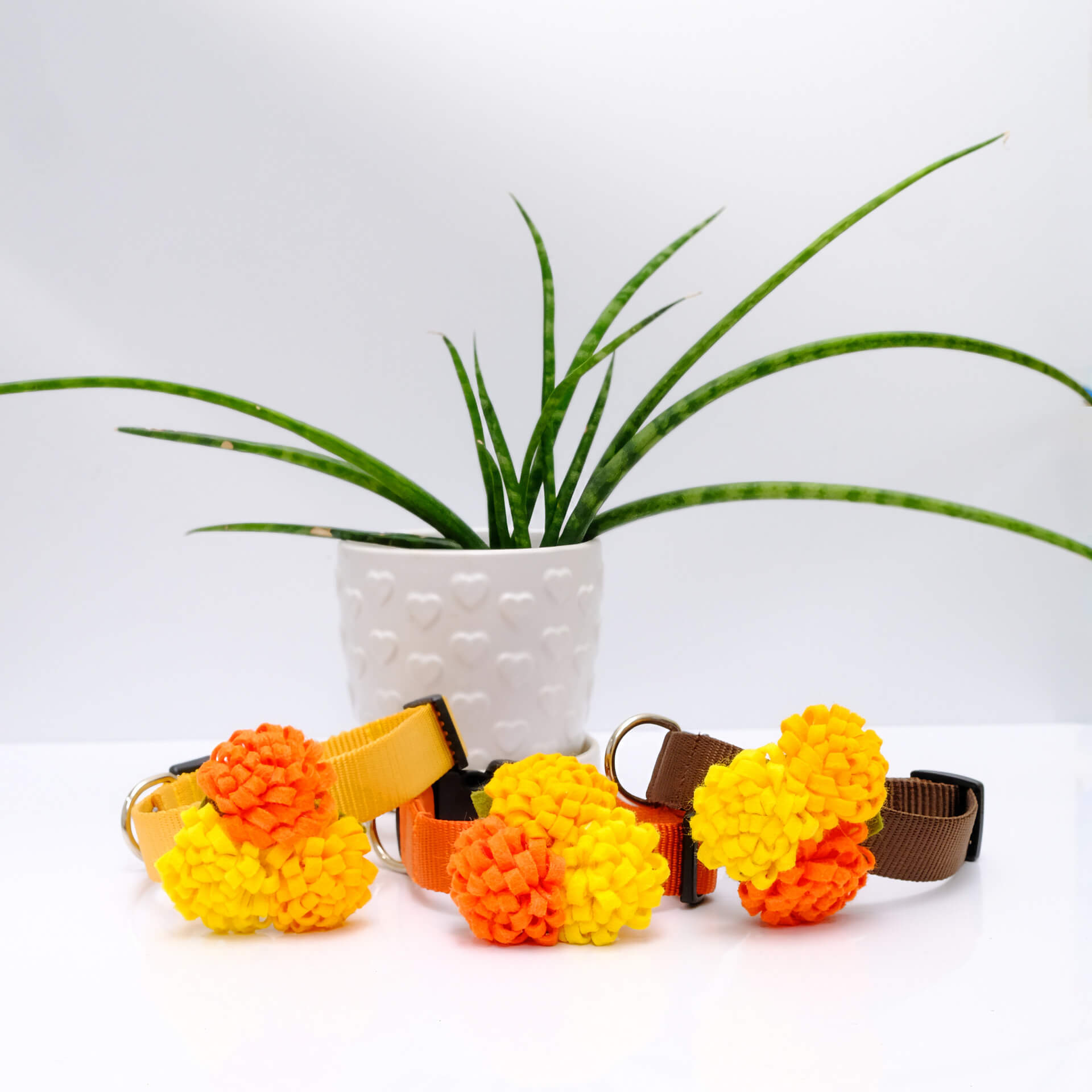 marigold flowers for dog collars dia de los muertos
