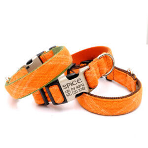 plaid orange dog collar flannel spice engraved buckle