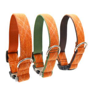 plaid spice buckle collars