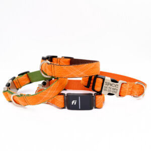 Fi plaid orange dog collar flannel spice engraved buckle