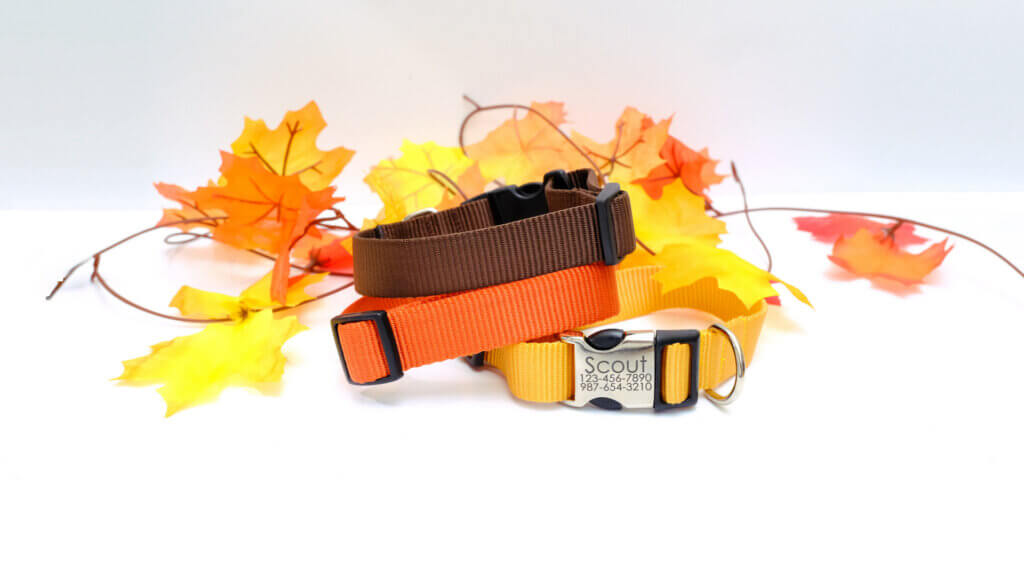autumn nylon dog collars engraved