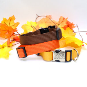 autumn nylon dog collars engraved