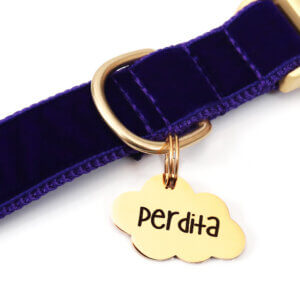 cloud id tags gold Perdita on navy velvet collar