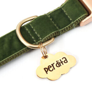 Alternative view of Cloud Pet ID Tag