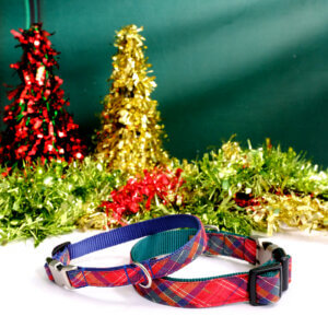 deck the halls dog collar navy