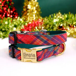 deck the halls tartan holiday dog collar engraved